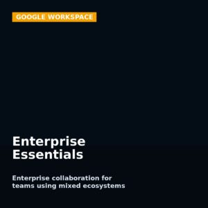 Google Workspace Enterprise Essentials managed by AVS Technologies