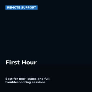 AVS Technologies remote support first hour plan