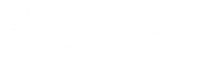 AVS Technologies